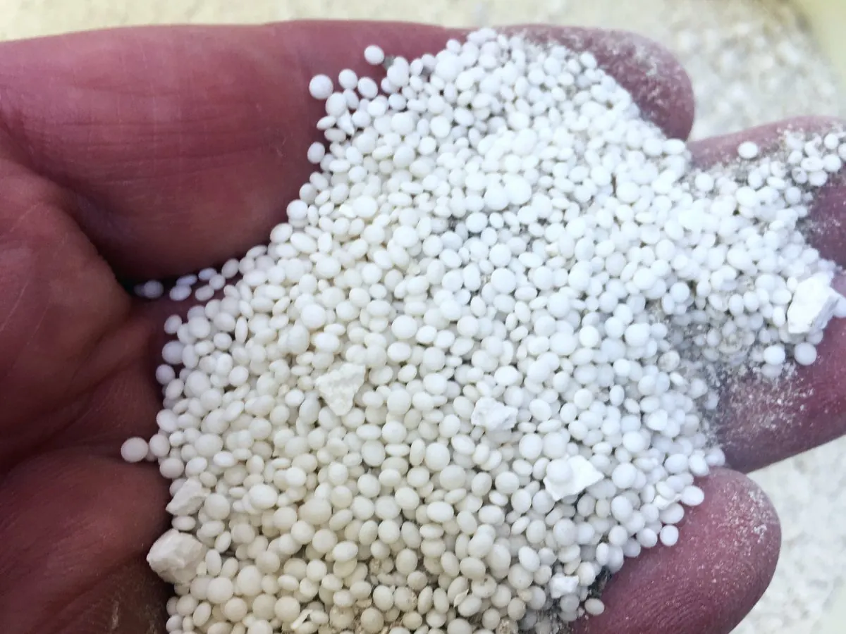 Hand holding white fertiliser granules